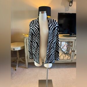 Chicos Sweater (Size 0)